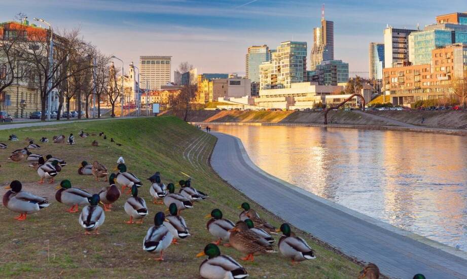 Rola oświetlenia w projektowaniu basenów dla kaczek