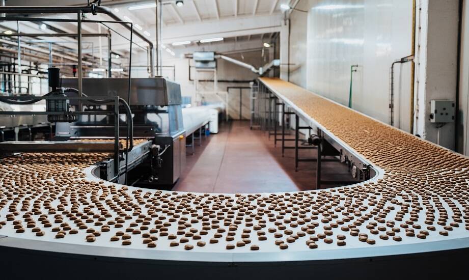 Jakie czynniki wpływają na wybór przenośników do przemysłu spożywczego?