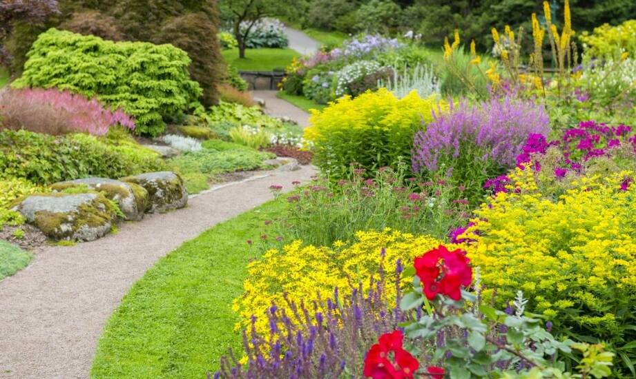 Berberysy – jak wykorzystać ich kolorystyczną różnorodność w ogrodzie?