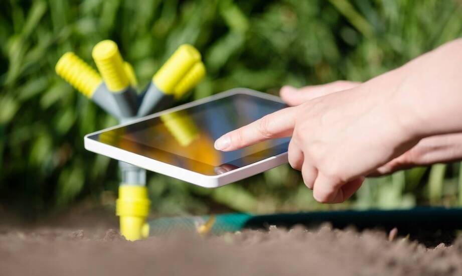 Praktyczne aspekty projektowania działek online w kontekście nawadniania