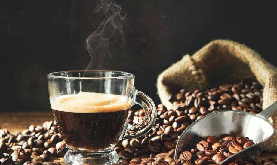 Rola pochodzenia ziaren w kształtowaniu smaku Premium MK Cafe