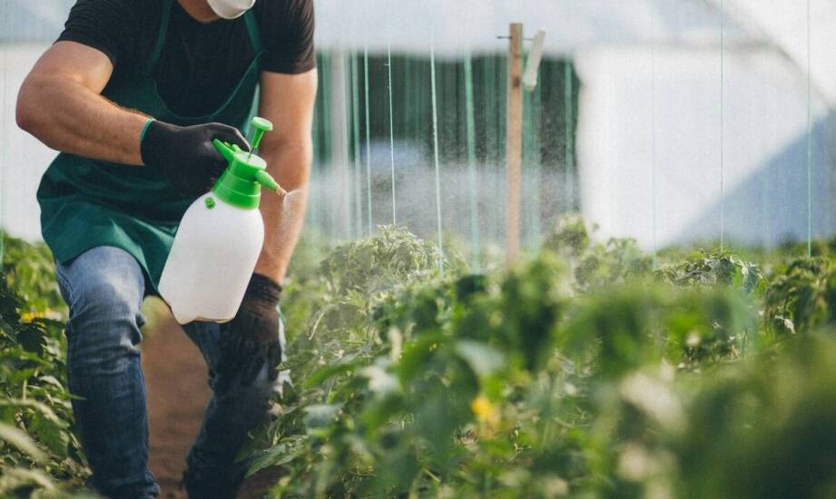 Jakie cechy powinny mieć skuteczne środki do zwalczania szkodników w ogrodzie?
