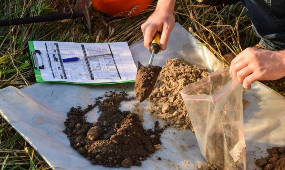 Jakie są wyzwania związane z oceną struktury gleby w raportach środowiskowych?