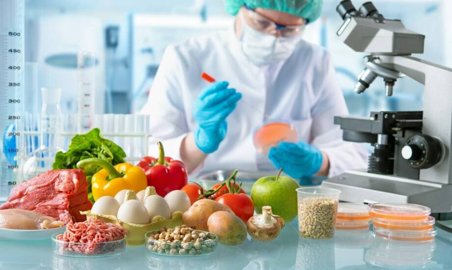 Efektywność probiotyków w diecie dla gołębi – co mówią badania?