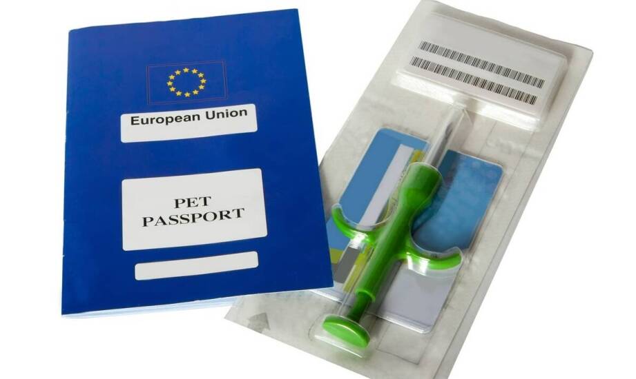 Przewodnik po krajowych regulacjach dotyczących paszportów zwierząt