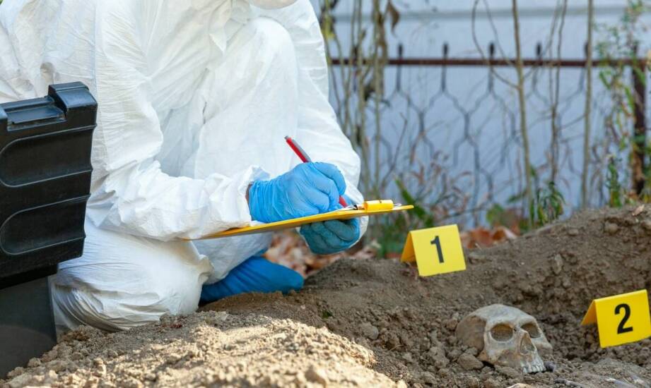 Jak przebiega konsultacja z specjalistami w zakresie ekshumacji?