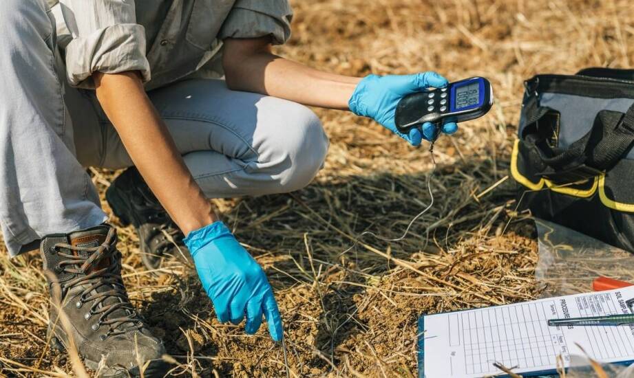 Inwentaryzacja przyrodnicza a zgodność z przepisami ochrony środowiska