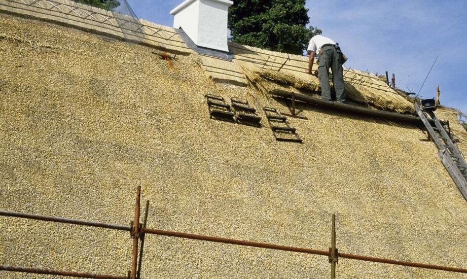 Jakie są etapy konserwacji dachu z trzciny?