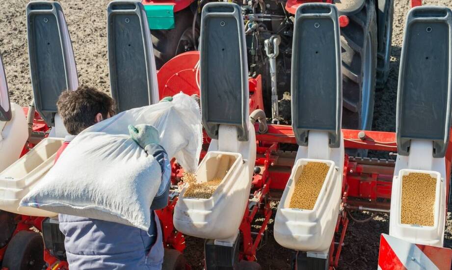 Efektywność pracy z szkółkarską sadzarką w gospodarstwie rolnym