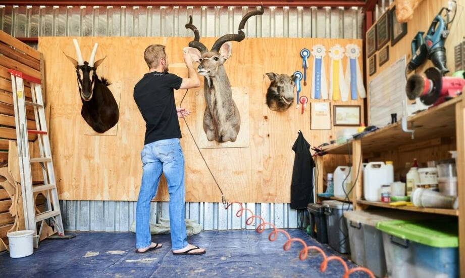 Proces preparowania zwierząt: jak zapewnić trwałość i naturalny wygląd?