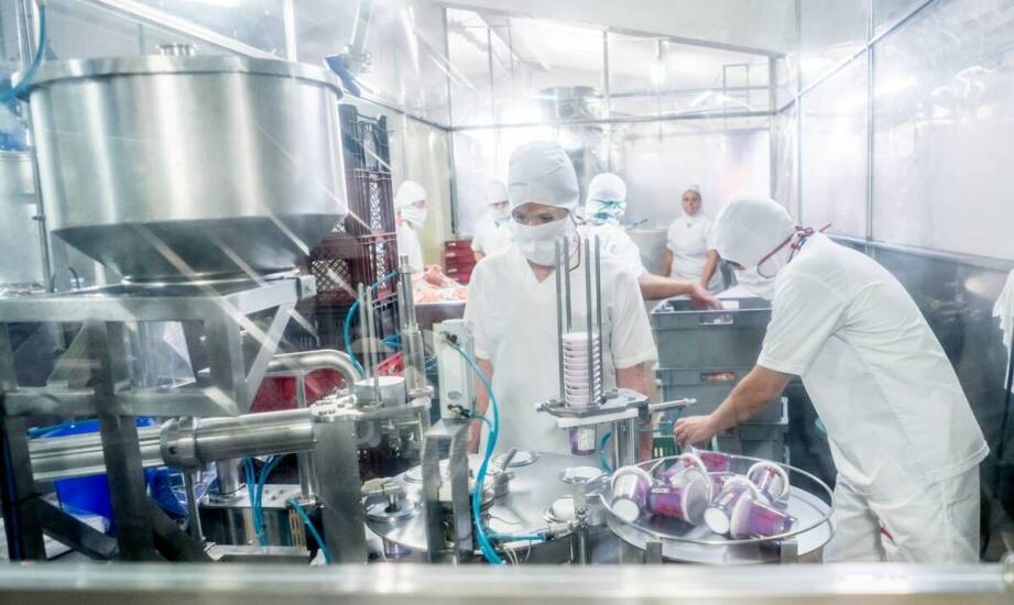 Zastosowanie koszowych pojemników w przemyśle spożywczym – co warto wiedzieć?