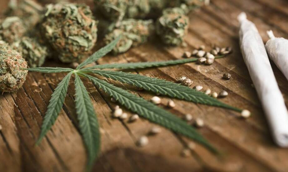 Analiza rynku tanich marihuany nasion: trendy i prognozy na przyszłość