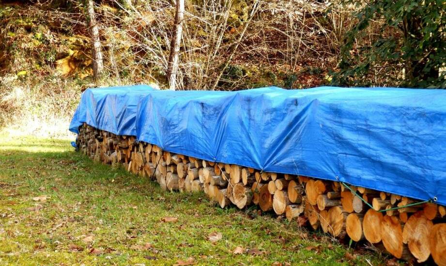 Drewno opałowe: jak legalne pozyskiwanie wpływa na ochronę środowiska?