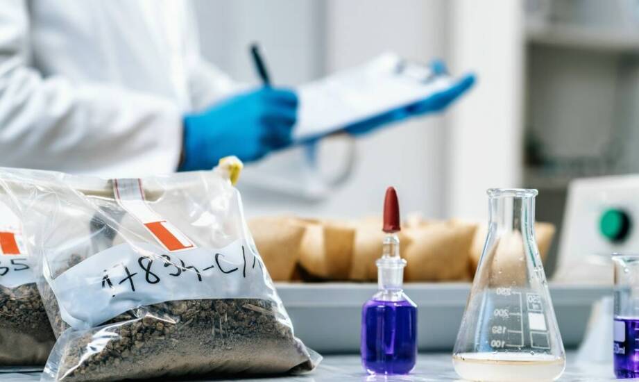 Wpływ chemicznych surowców na jakość spożywczych produktów