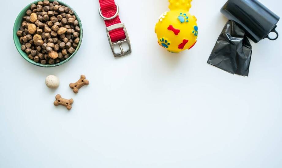 Korzyści zdrowotne płynące z wyboru karmy Naturina dla psa z wrażliwym układem pokarmowym