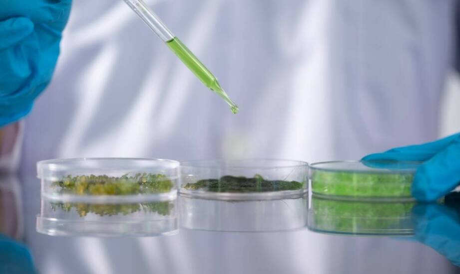 Biologiczne i chemiczne metody oczyszczania: porównanie efektywności.
