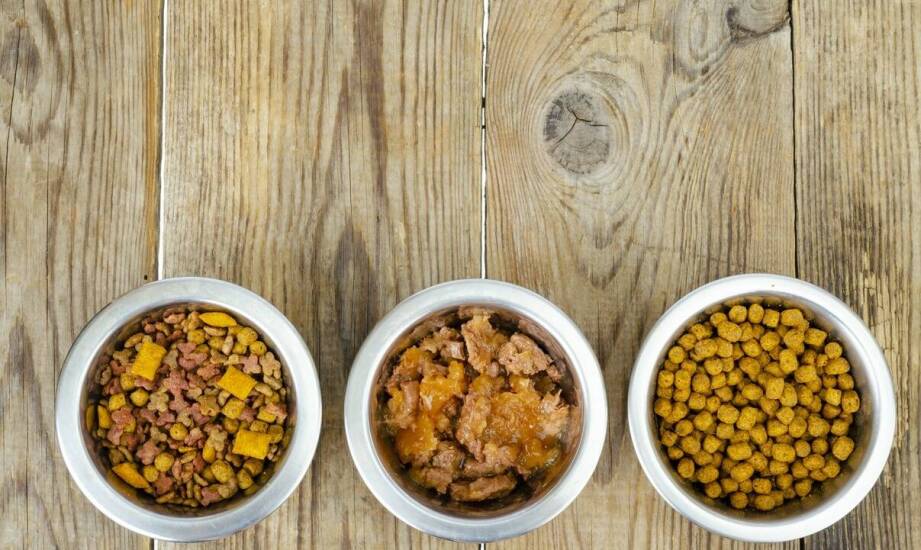 Jak odpowiednia karma sucha może wspierać zdrowe stawy u psów?