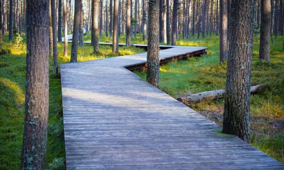 Relaksacyjne i medytacyjne trasy dostępne dla gości w hotelu