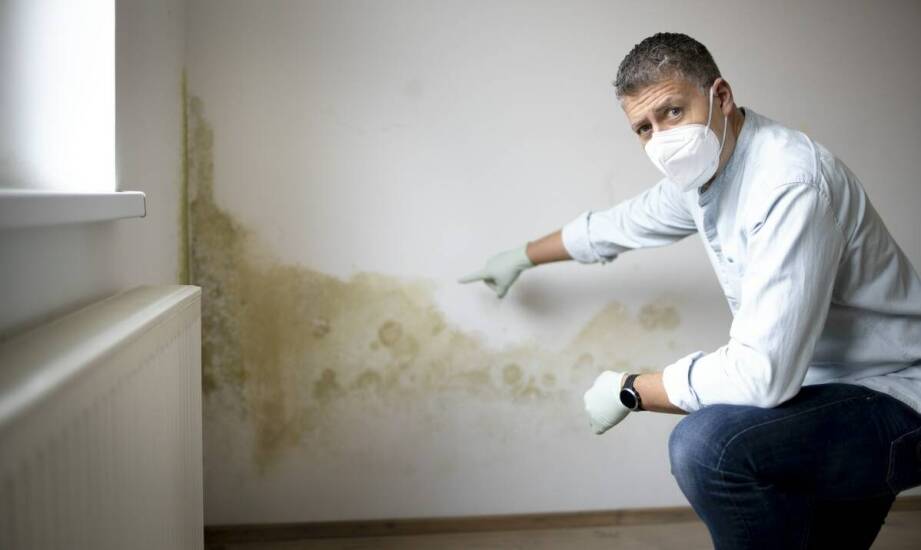 Wpływ wilgoci na zdrowie mieszkańców – jak zapobiegać temu?
