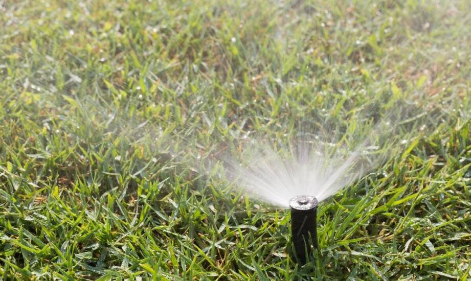 Wpływ automatycznego podlewania na estetykę trawnika