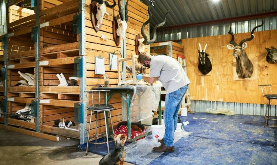 Jakie materiały są najczęściej wykorzystywane przy wypychaniu zwierząt?