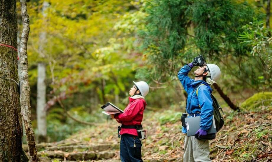 Nadzór nad przyrodą: klucz do zgodności inwestycji z przepisami
