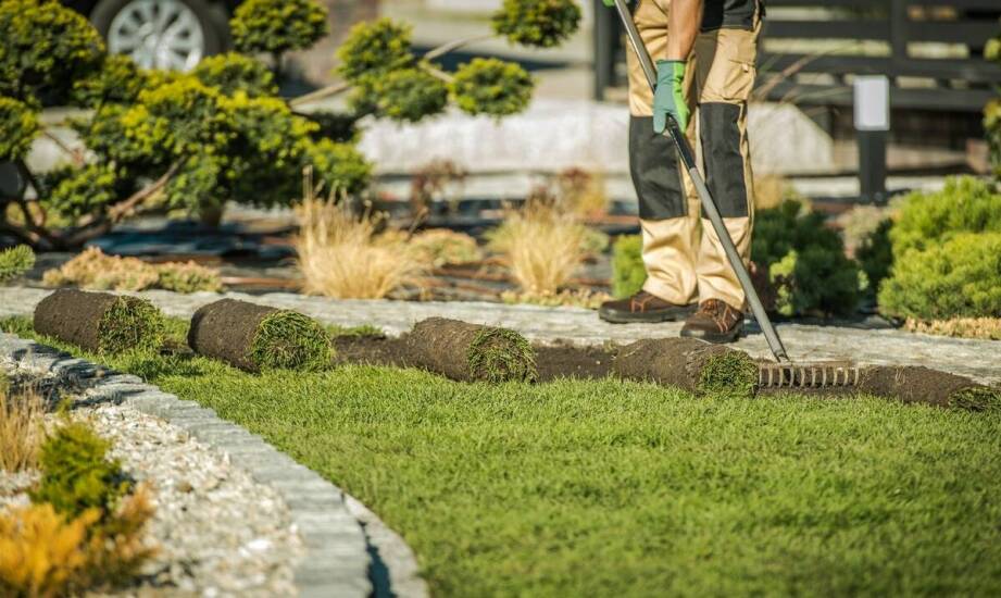 Profesjonalne podejście do zakładania trawników w prywatnych ogrodach