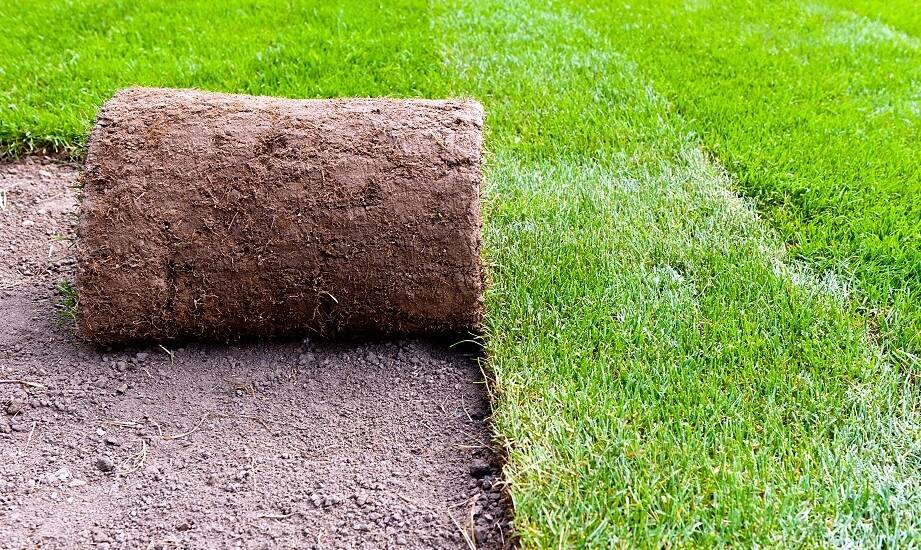 Jak profesjonalne techniczne wsparcie wpływa na sukces instalacji trawnika z rolki?