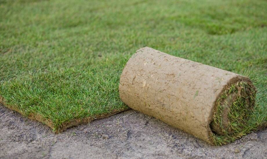 Trawniki z rolki: znaczenie regularnego koszenia dla estetyki