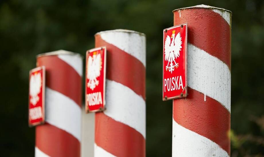 Czy słupki do leśnej siatki są odpowiednie dla każdego rodzaju terenu?