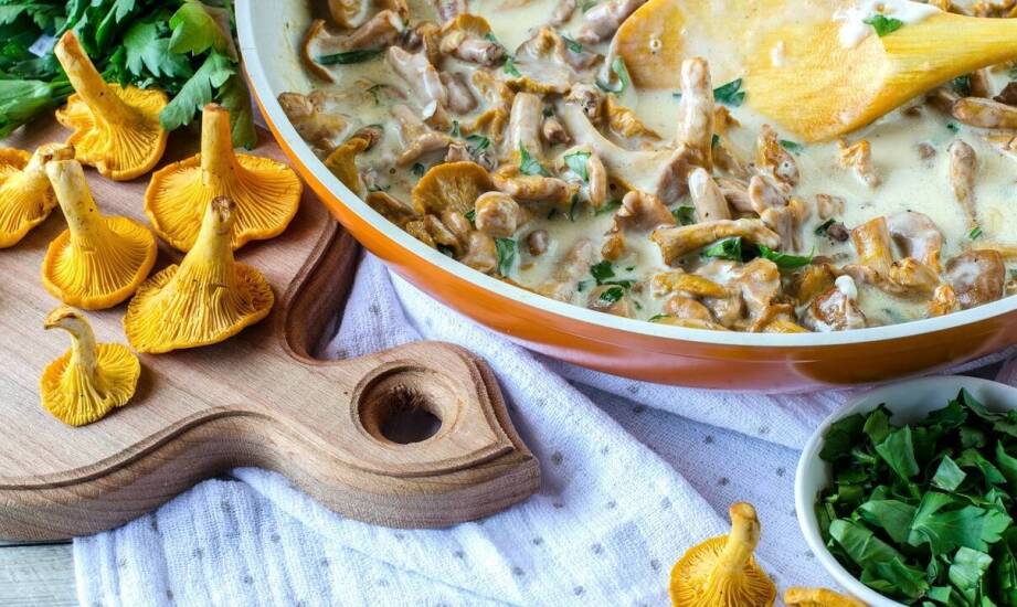 Zastosowanie mączki kurki w kuchni włoskiej