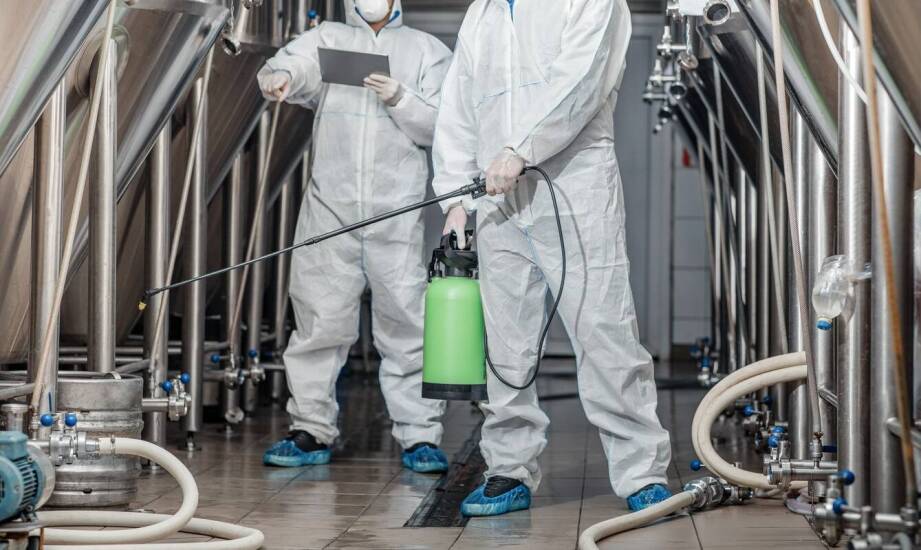 Kluczowe elementy sanitarnego doradztwa w procesie certyfikacji przemysłowych zakładów