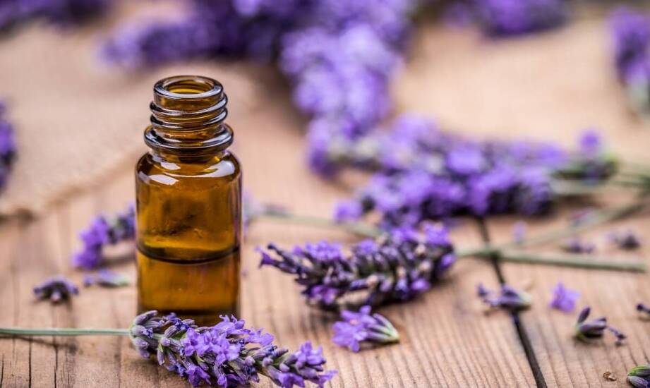 Jak olejki nośnikowe wspierają tworzenie trwałych perfum?