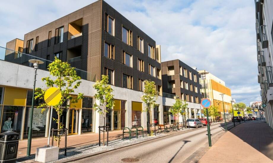 Jak zarządzający nieruchomościami wpływają na estetykę miejskiej przestrzeni?