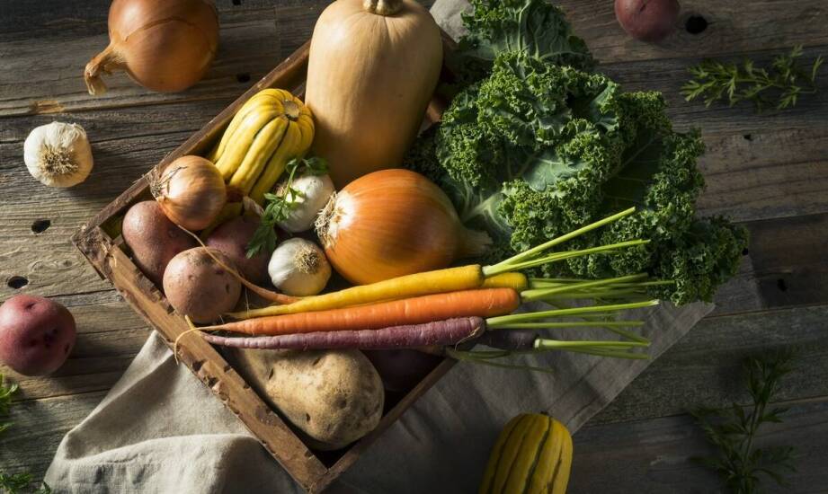 Jakie świeże warzywa najlepiej kupować w jesiennym sezonie?