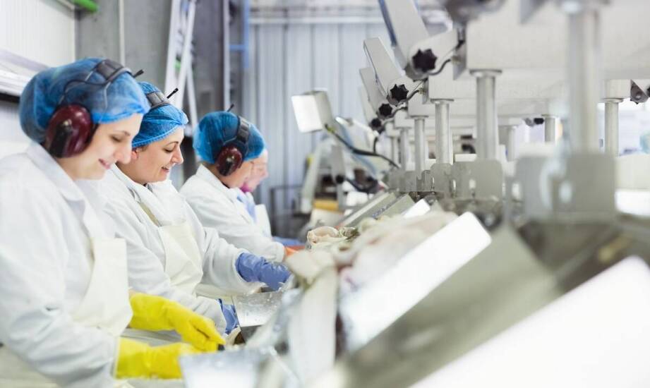 Rola nierdzewnych blach w zwiększaniu efektywności produkcji spożywczej