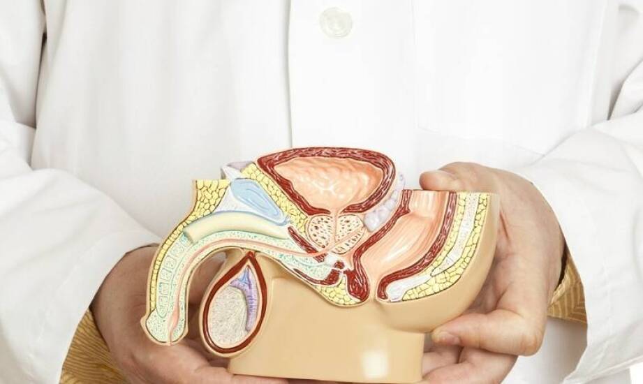 Diagnostyka chorób narządów płciowych - rola urologa