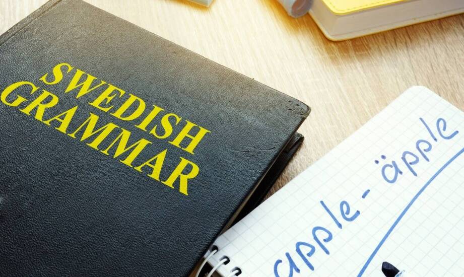 Tłumacz przysięgły a tłumaczenia związane z edukacją – jak wygląda ten proces?