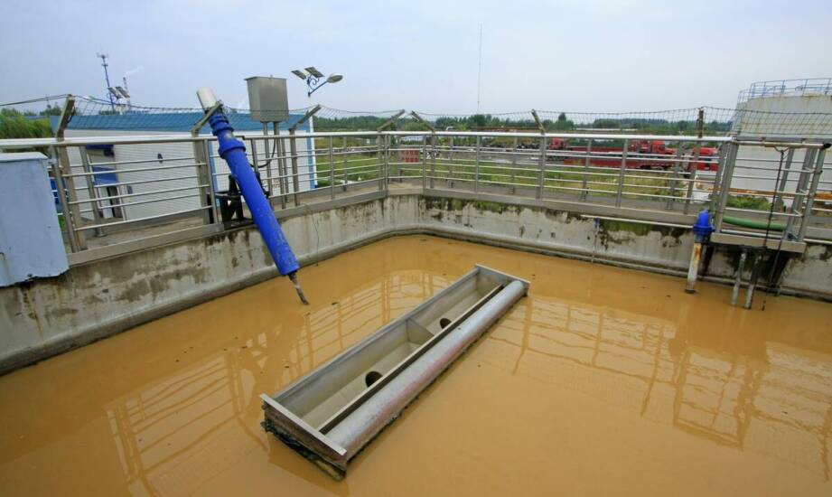 Jak wybrać odpowiedni dezynfekcyjny basen dla swojego gospodarstwa?