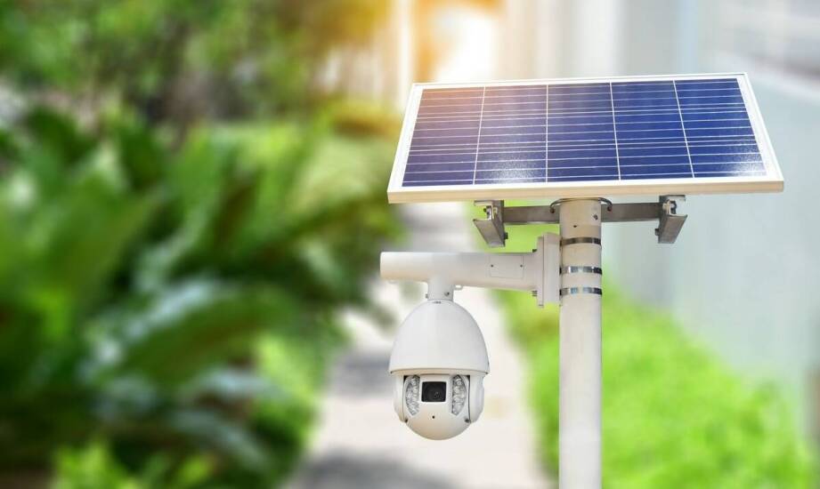 Kamery WiFi Reolink z możliwością zasilania przez panel solarny – ekologia i oszczędność