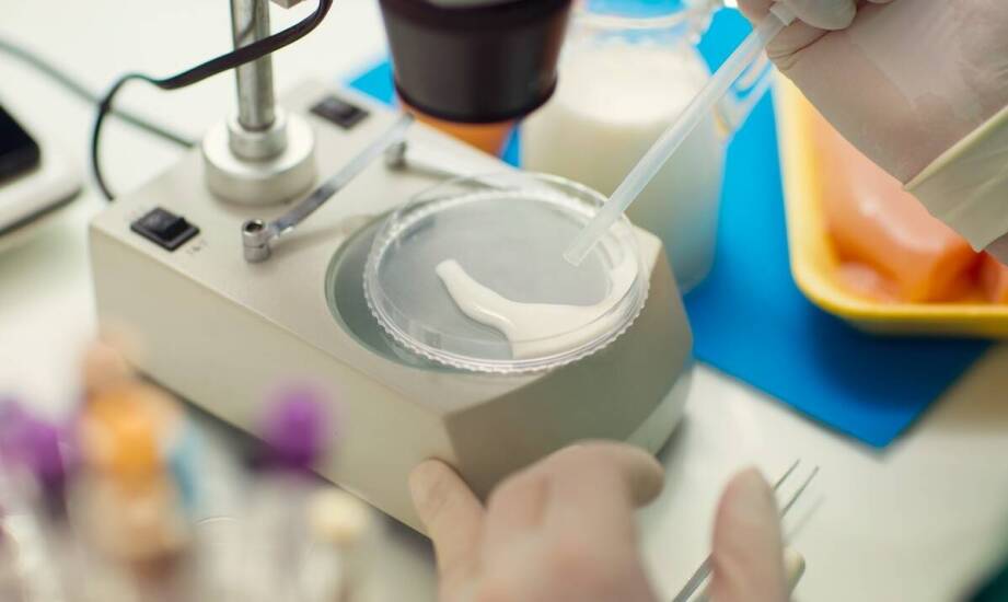 Wykorzystanie diagnostycznych odczynników w medycynie i przemyśle