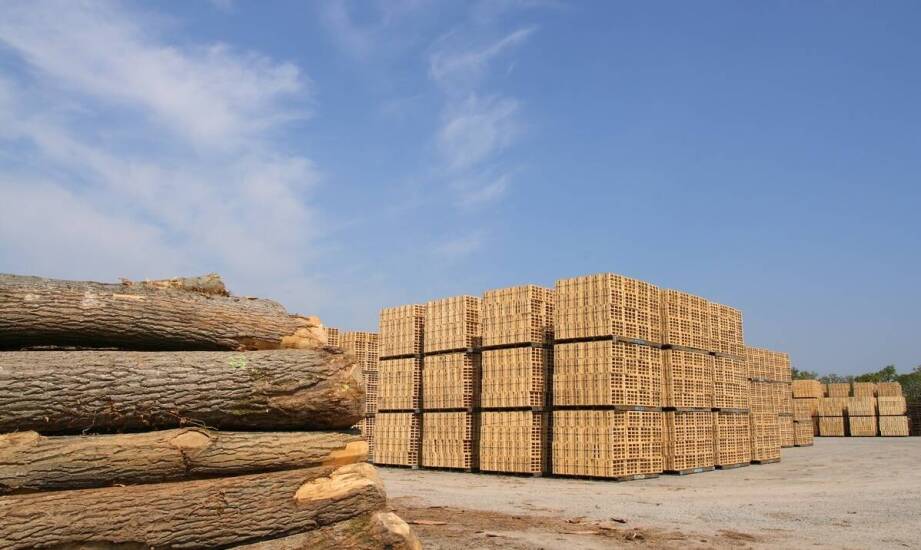 Jakie są najczęstsze pytania dotyczące kosztów związanych z trocinami?