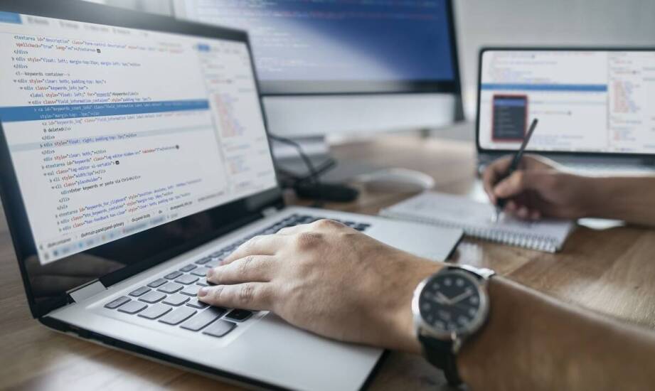 Przewodnik po holenderskim rynku pracy w IT: co warto wiedzieć?