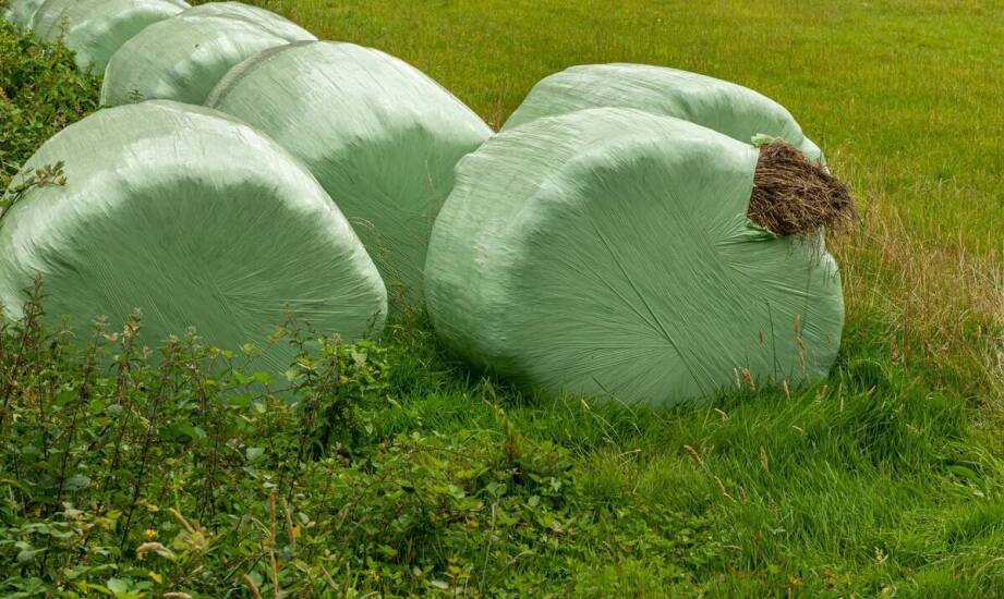 Zastosowanie kiszonkarskiej folii w rolnictwie – co warto wiedzieć?