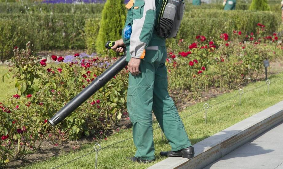 Utrzymanie zieleni: jak profesjonaliści dbają o publiczną przestrzeń?