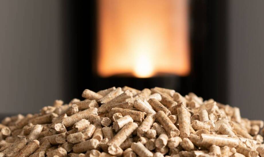 Dlaczego pellet z łuski słonecznika jest wyborem przyszłości?