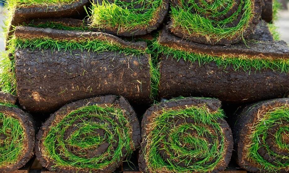 Dlaczego trawy w rolkach są idealne na autostrady i ich pobocza?