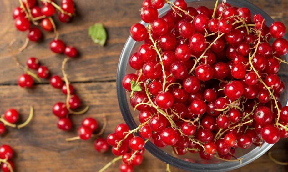 Antyoksydacyjne właściwości pestek porzeczki – co warto wiedzieć?