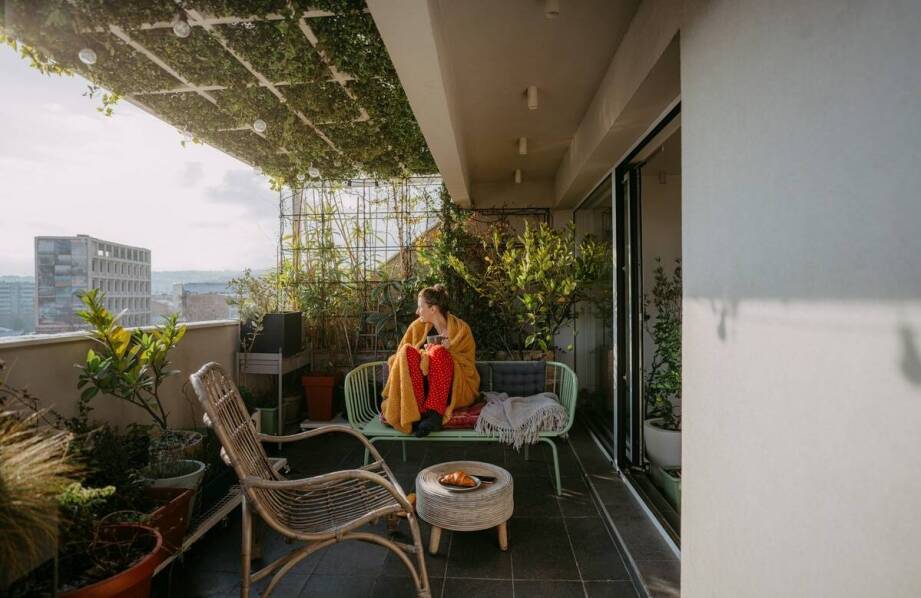 Jednoroczne pnącza: jak z ich pomocą stworzyć zielony azyl w domu