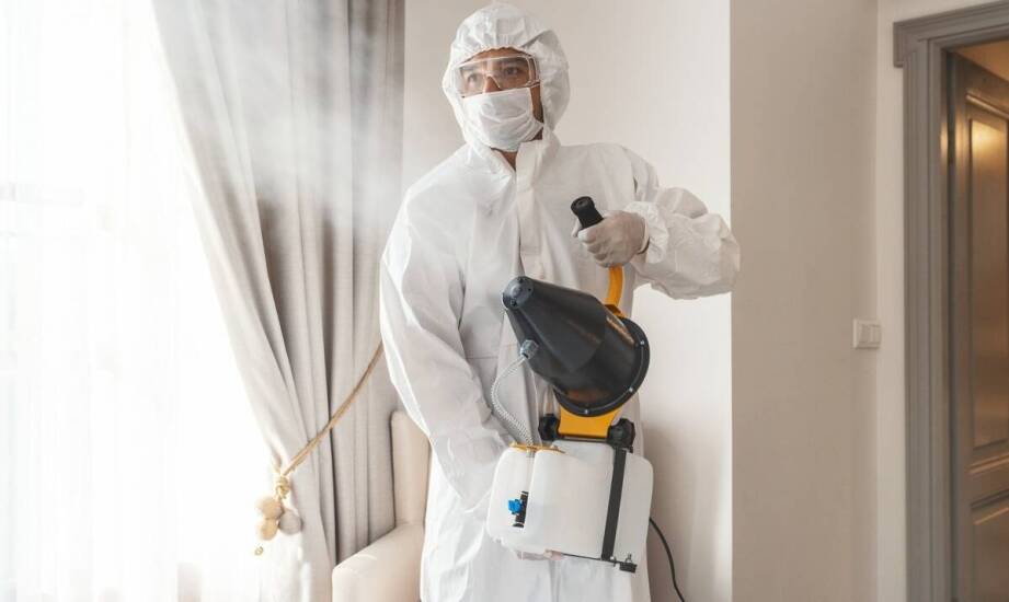 Jakie są zalety profesjonalnego ozonowania w budynku po zalaniu?